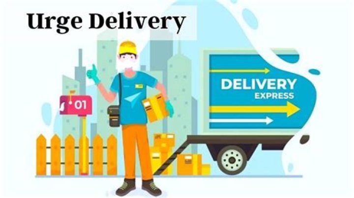 Dive into the Meaning of Urge Delivery in SHEIN