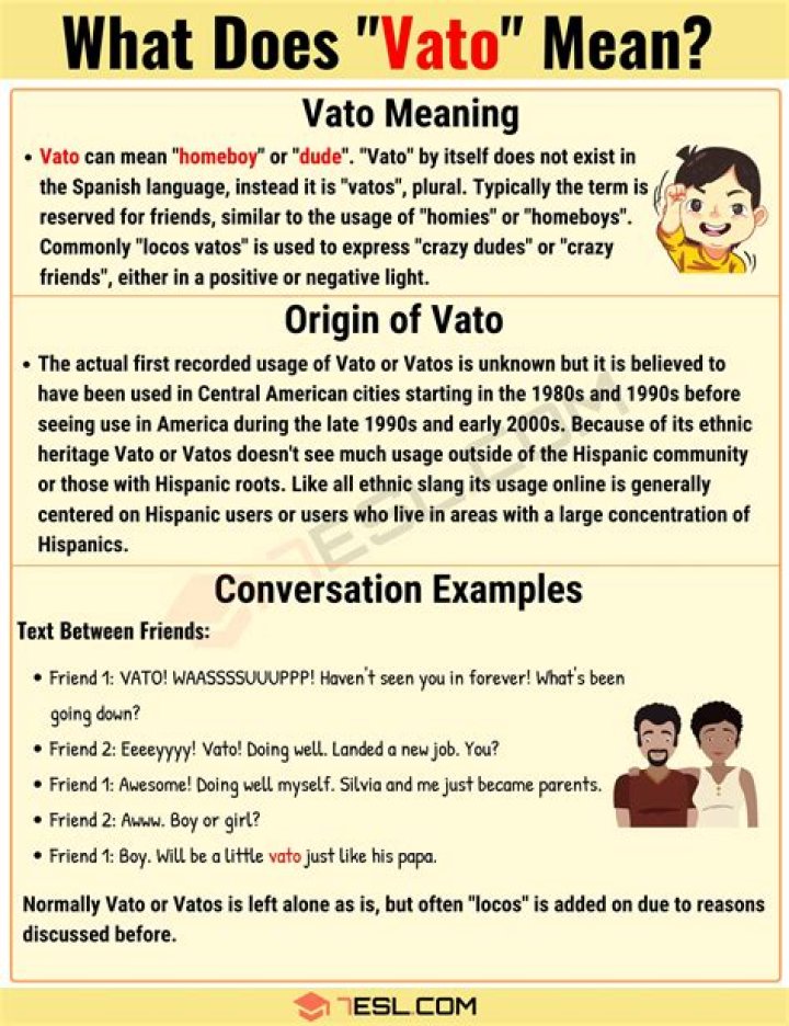 Unveiling The Meaning Of "Vato": Discoveries And Insights