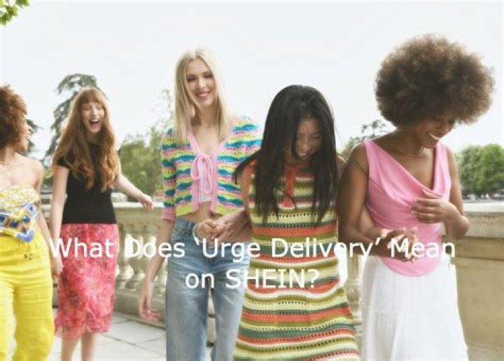 Unveiling the Secrets of Urge Delivery Shein: Discoveries and Insights